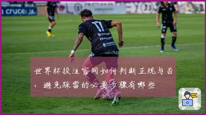 世界杯投注官网如何判断正规与否，避免踩雷的必要步骤有哪些