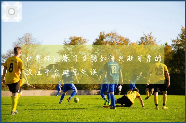 世界杯比赛日临场如何判断可靠的投注平台避免失误